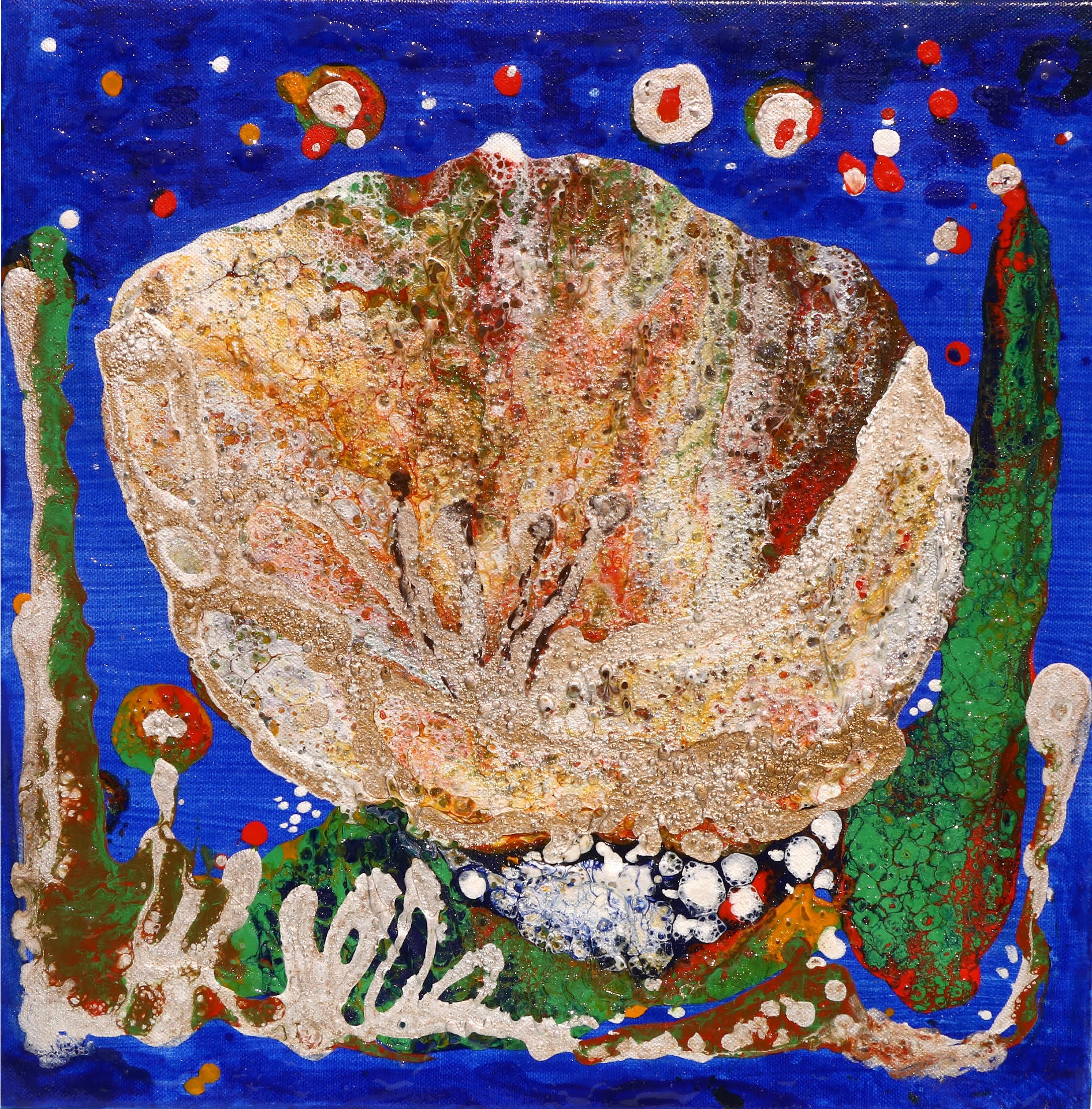 Conchiglie — Jole Caleffi — tecnica mista